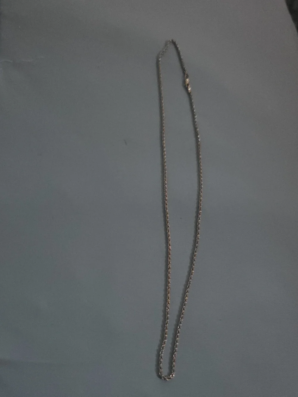 Women's 14kt White Gold Rope Chain Necklace - Polished Sterling Tone